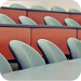 NRCPD seeks board members NRCPD seeks board members